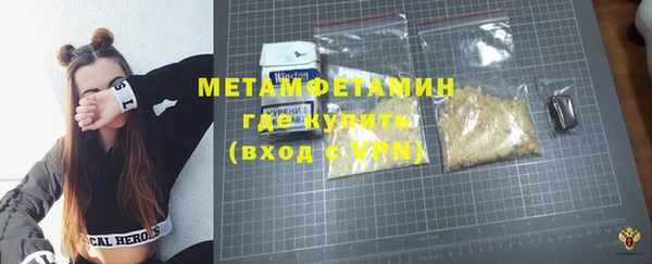 дживик Инта