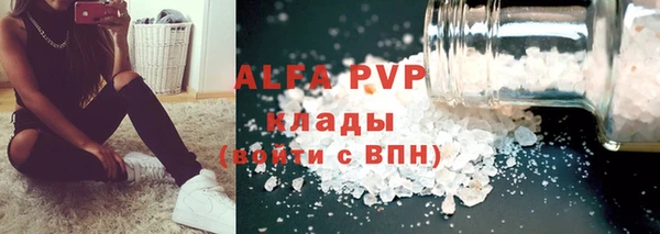 дживик Инта