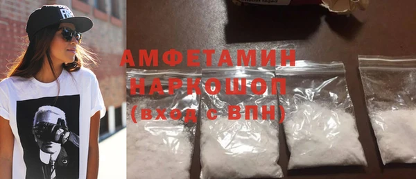 дживик Инта