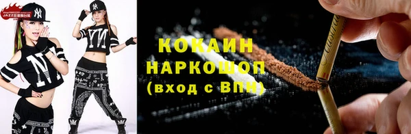 дживик Инта