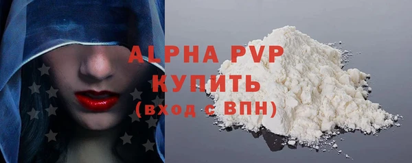 ПСИЛОЦИБИНОВЫЕ ГРИБЫ Инсар