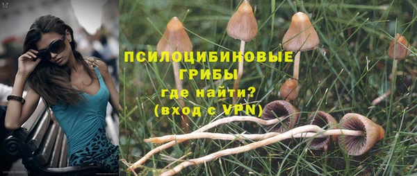 ПСИЛОЦИБИНОВЫЕ ГРИБЫ Инсар