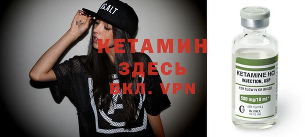 дживик Инта