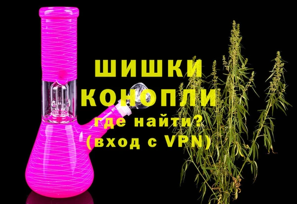дживик Инта