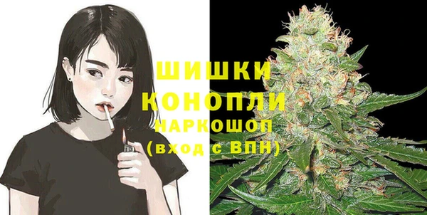 ПСИЛОЦИБИНОВЫЕ ГРИБЫ Инсар