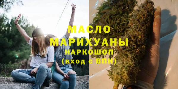 дживик Инта