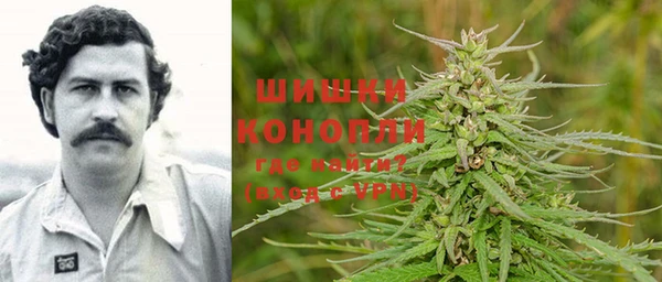 дживик Инта