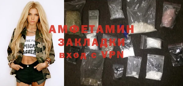 дживик Инта