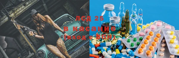 ПСИЛОЦИБИНОВЫЕ ГРИБЫ Инсар