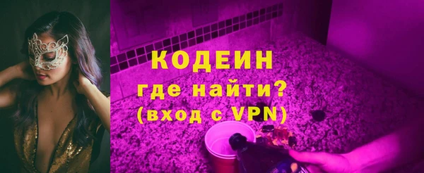дживик Инта