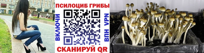 Купить закладки  Трёхгорный  Галлюциногенные грибы прущие грибы 